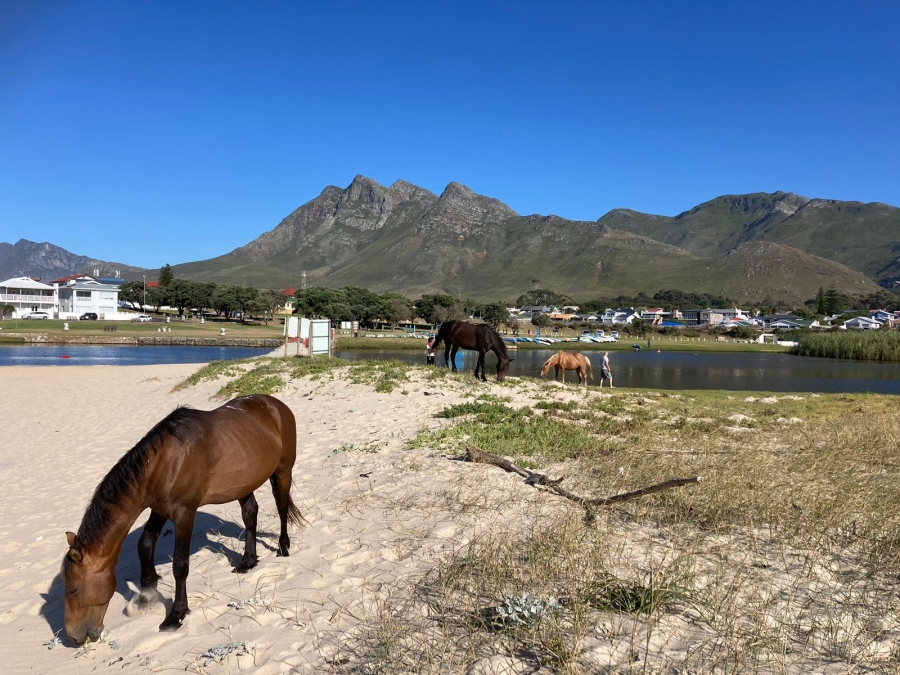 3 Bedroom Property for Sale in Kleinmond Western Cape